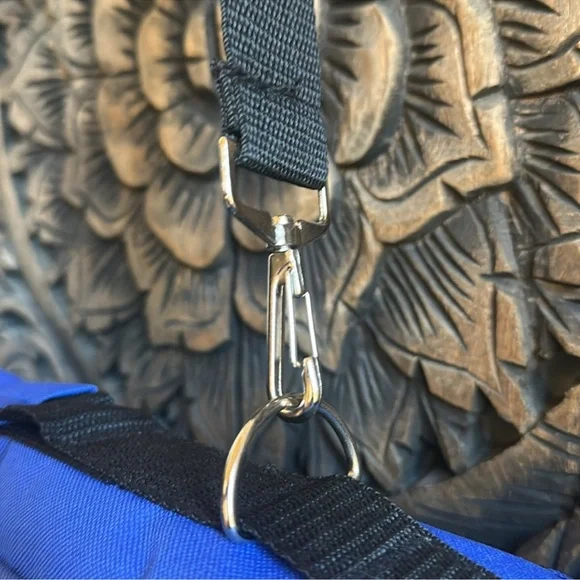 Southwest Airlines Branded Blue Soft Sided Pet Carrier Cat Small Dog Strap - Picture 3 of 7